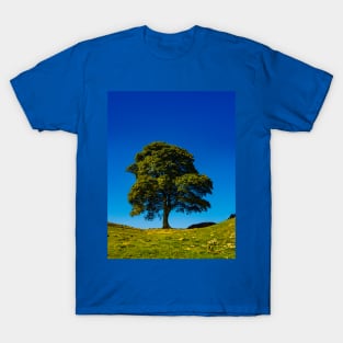 Sycamore Gap, in Memoriam T-Shirt